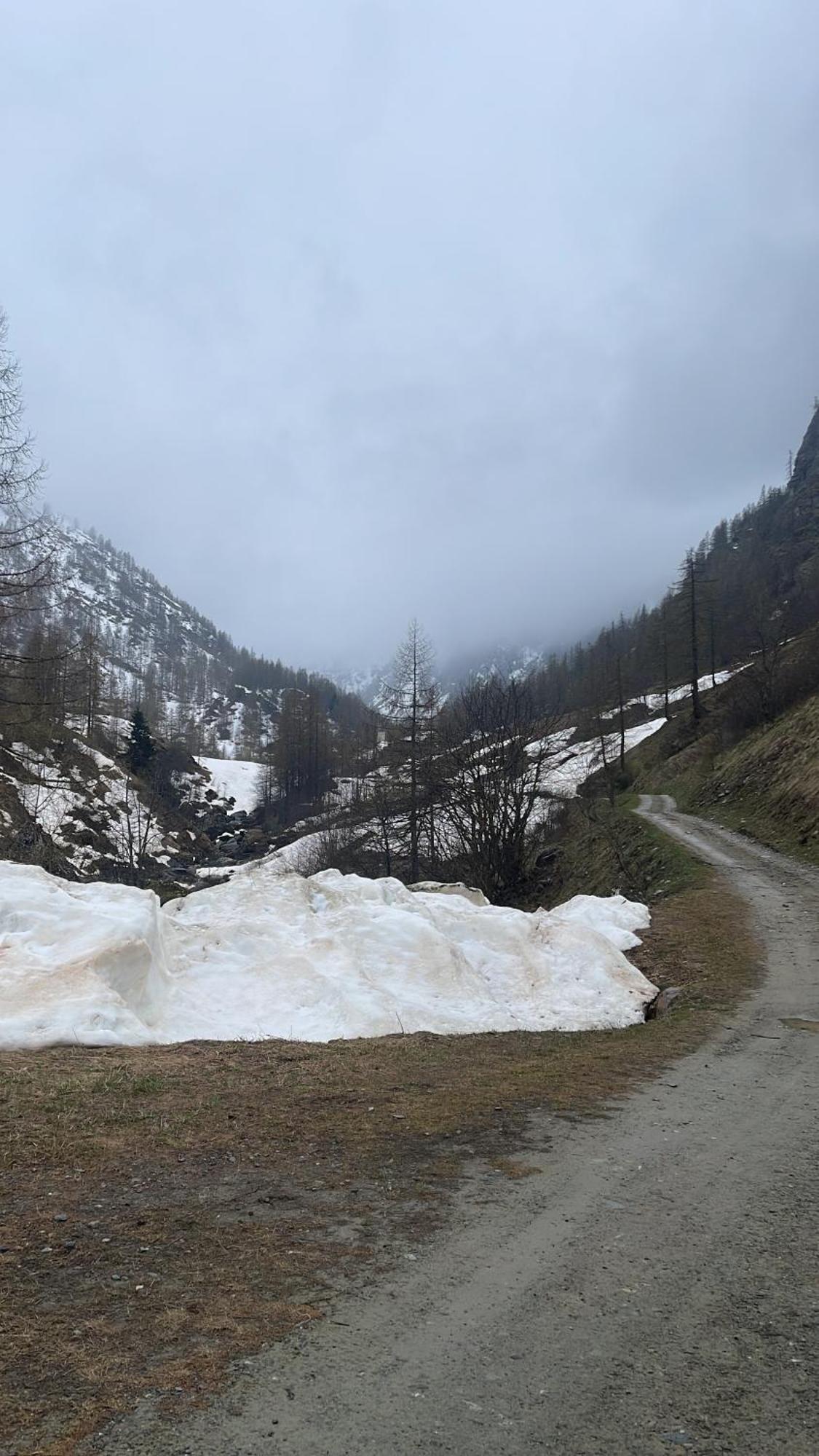 Laghi Di Como Appartamento Di Licinia E Mario Asso Extérieur photo